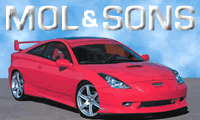 Mol and Sons Motors Ltd.